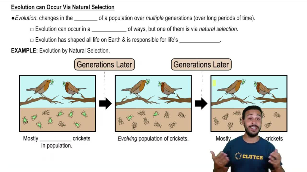 Evolution can Occur Via Natural Selection