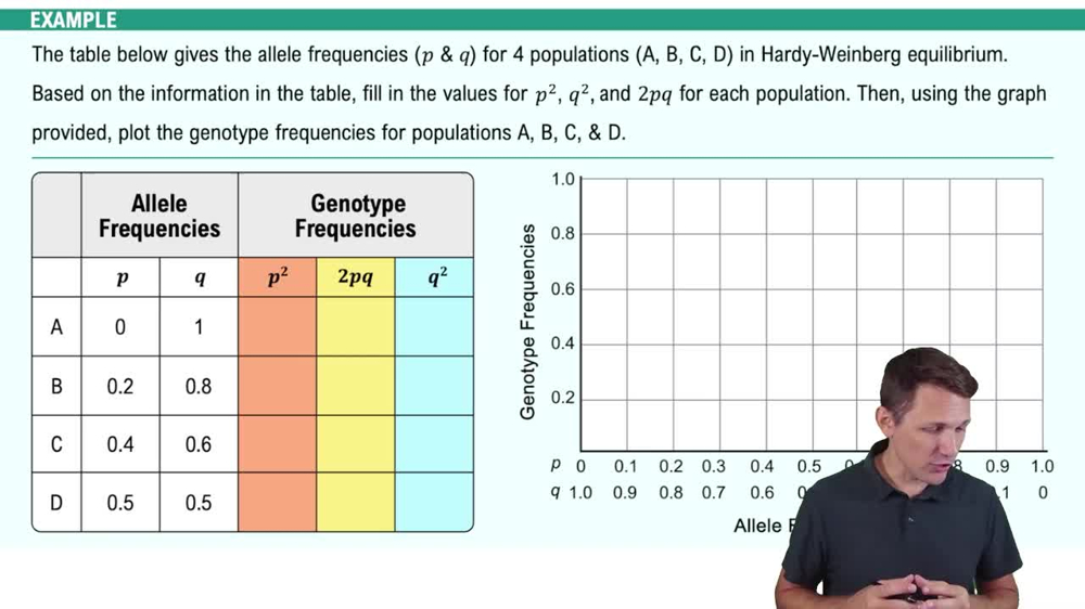The Hardy-Weinberg Principle Example 1