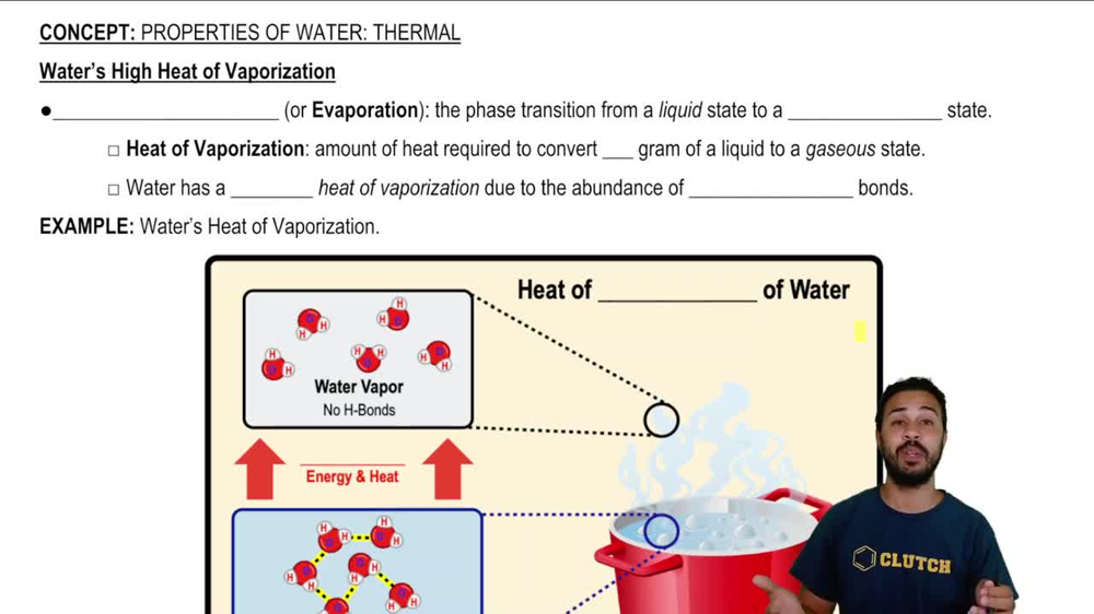 Water’s High Heat of Vaporization