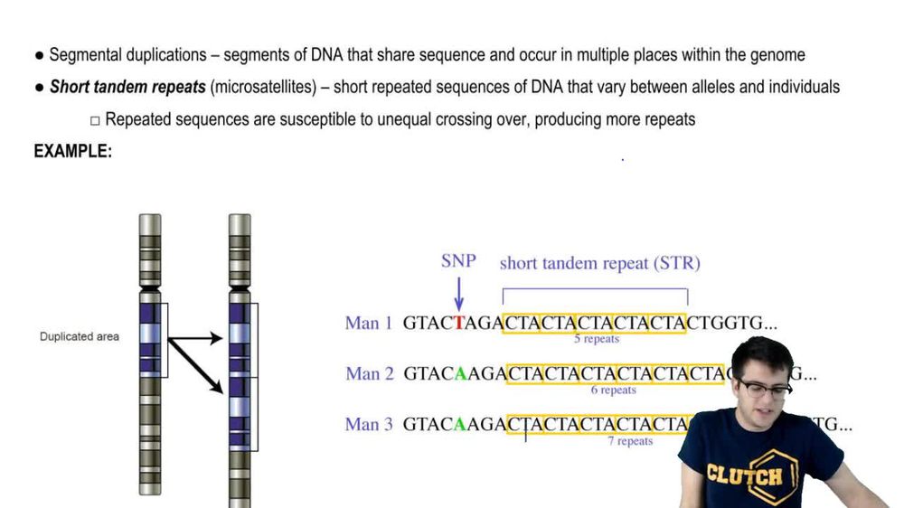 Noncoding DNA