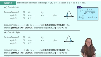 Performing Hypothesis Tests: Proportions Example 1