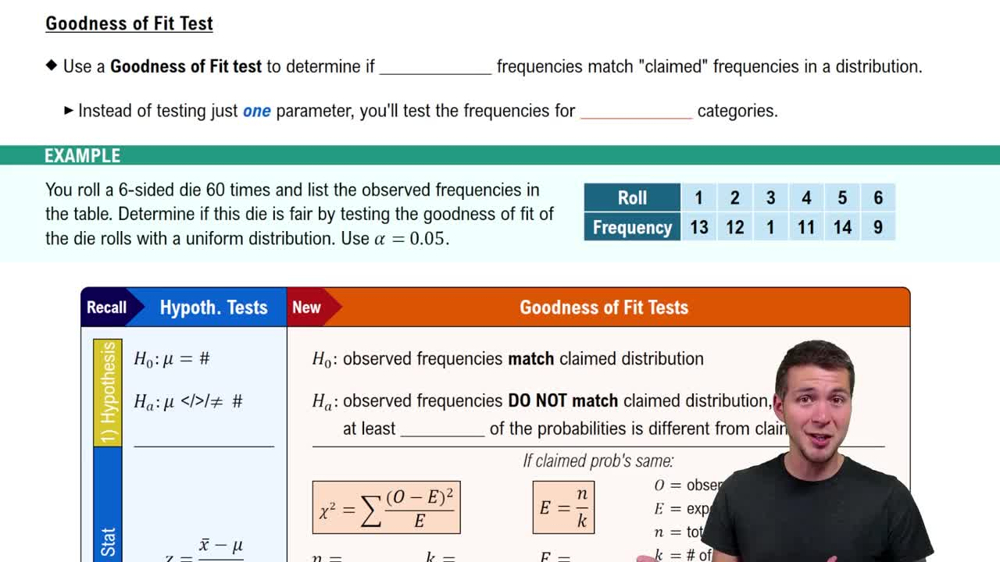 Goodness of Fit Test