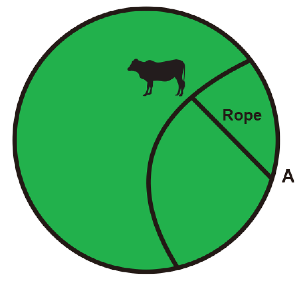 Diagram of a cow tied to a circular fence with a rope, showing the grazing area inside the corral boundary.