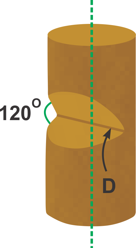 Illustration of a cylindrical wooden block with a notch carved by two cuts at a 120° angle, intersecting along diameter D.
