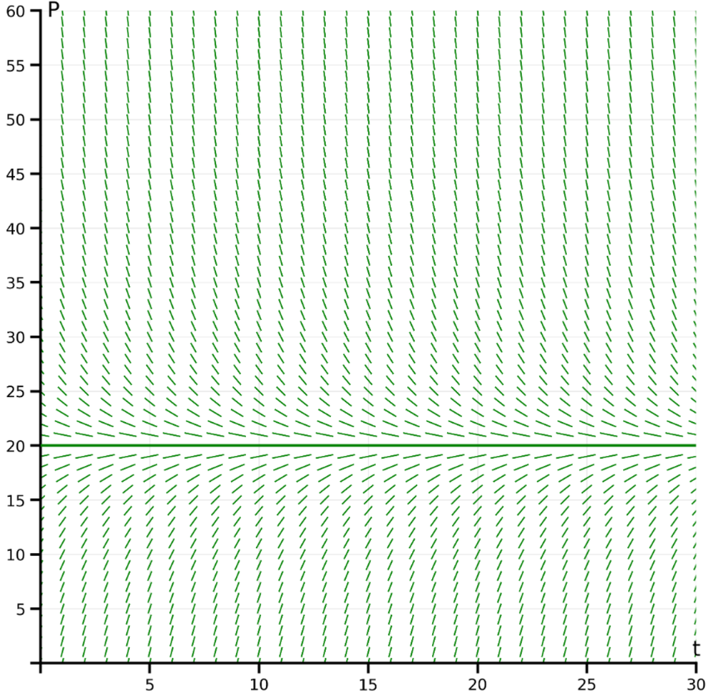 Direction field graph showing slope vectors for population P versus time t from 0 to 30 hours and population 0 to 60.