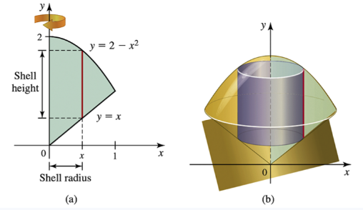 Illustration showing the shell method for volume calculation, with curves and cylindrical shells in the first quadrant.