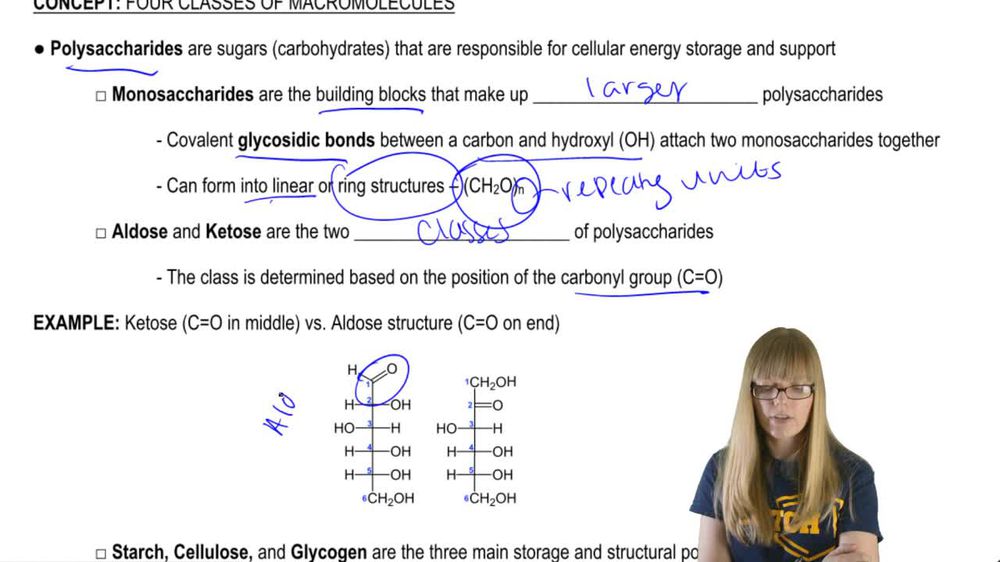 Polysaccharides