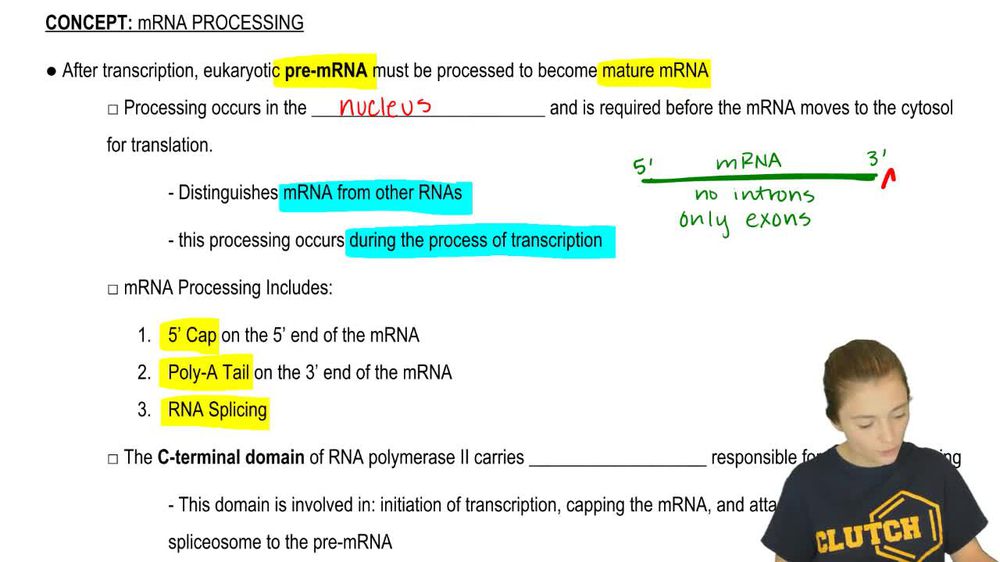 mRNA Processing Overview