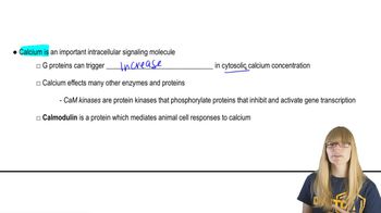 Common Pathways