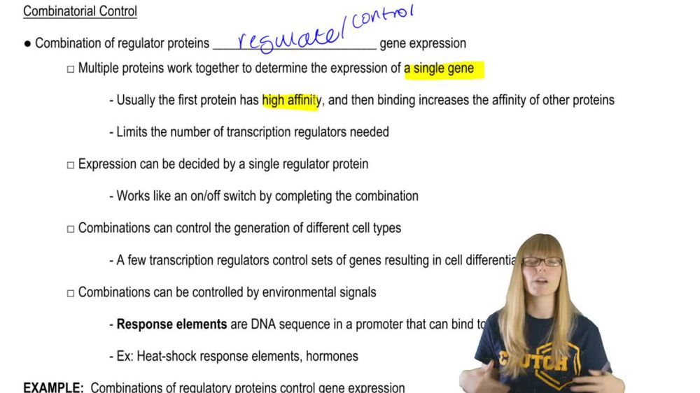 Combinatorial Control