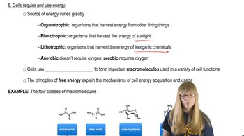 Cells and Energy