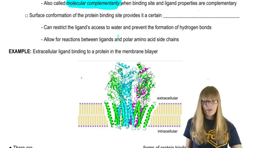 Protein Binding