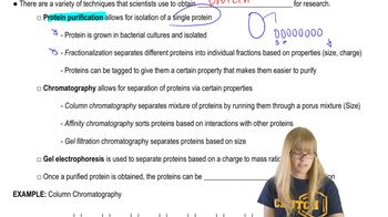 Protein Purification