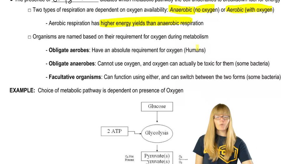 Oxygen and Respiration