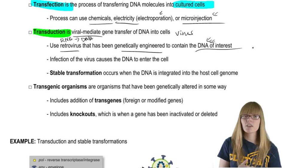 DNA Transfer into Cells