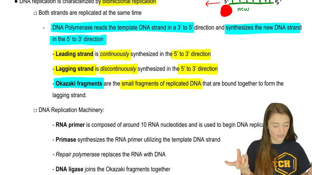 DNA Replication Proteins