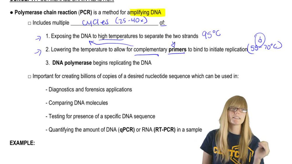 PCR