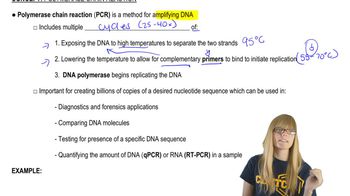 PCR