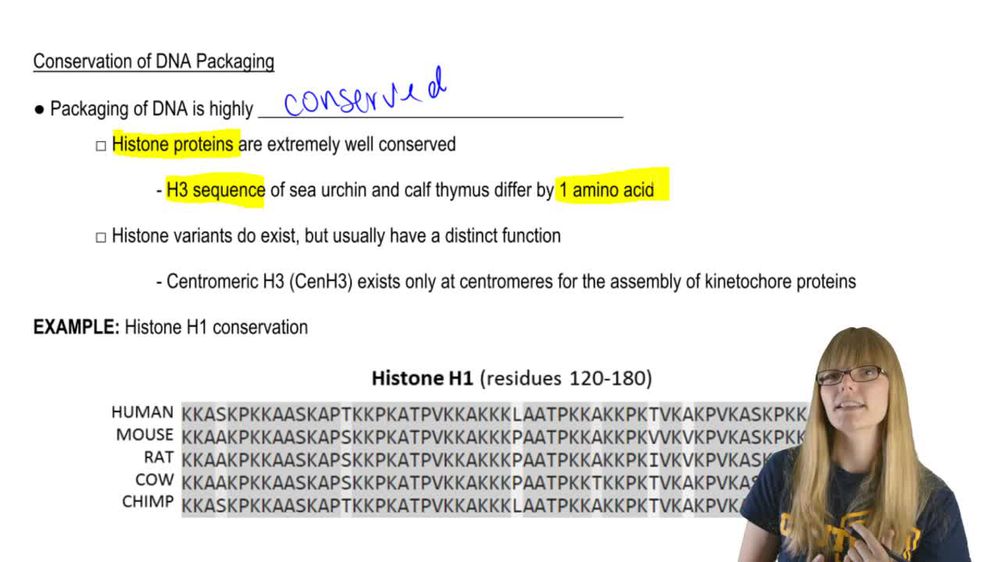 Conservation of DNA Packaging