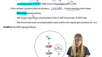 Common Pathways
