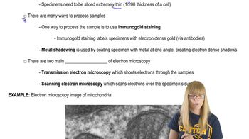 Electron Microscopy