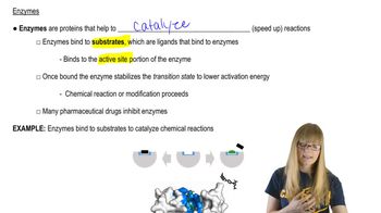 Enzymes