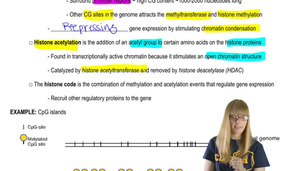 Epigenetic Modifications
