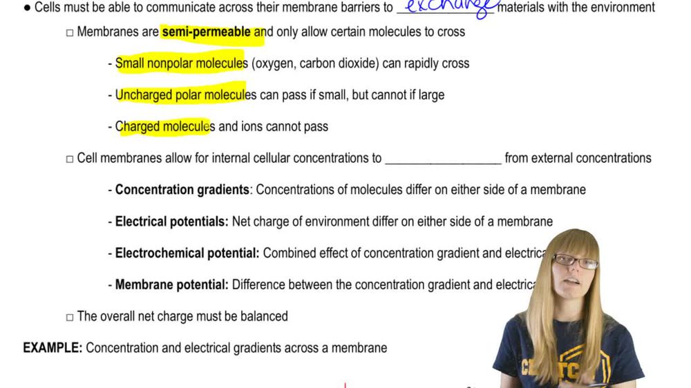 Membranes and Gradients