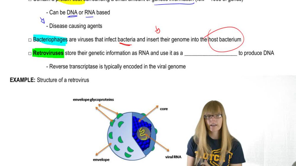 Viruses as Mobile Genetic Elements