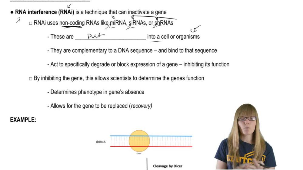 RNAi