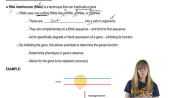 RNAi