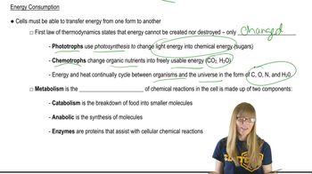 Energy Consumption