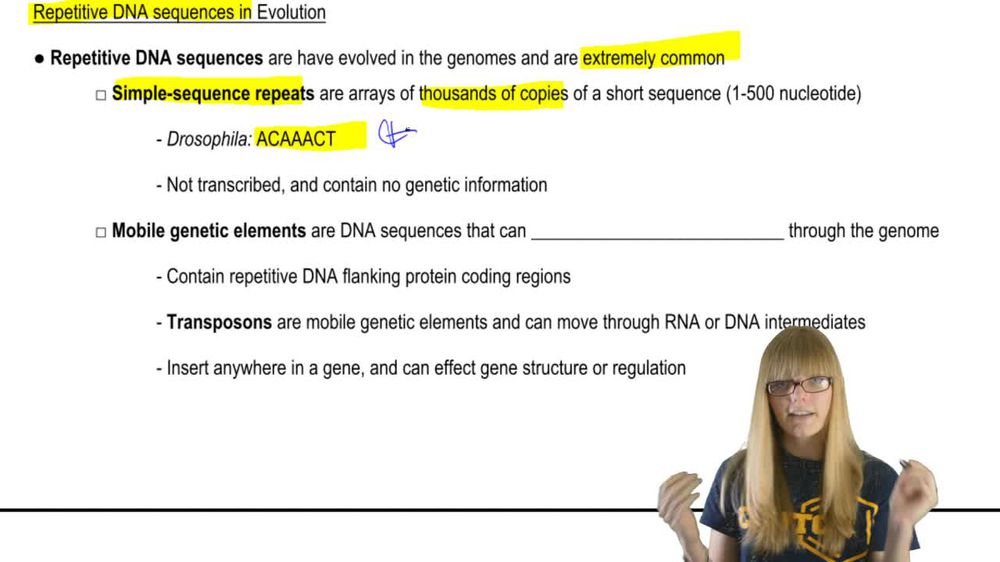 Repetitive DNA Sequences