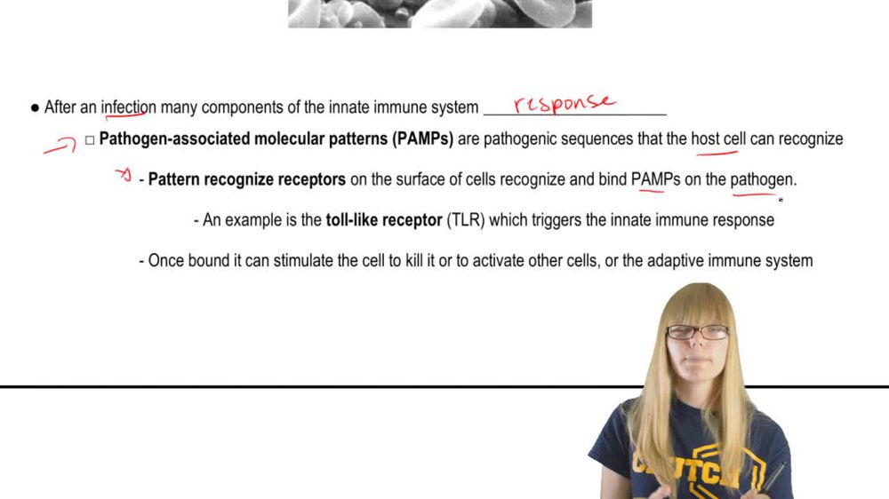 Innate Immunity