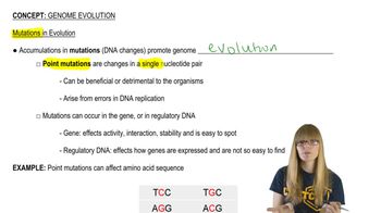 Mutations