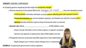 Genomic Comparison