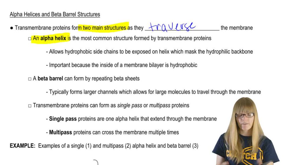 Alpha Helices and Beta Barrels