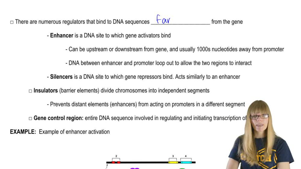 Types of Transcriptional Regulators