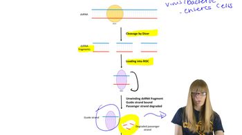 RNA Interference