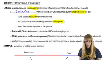 Mobile Genetic Elements