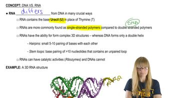 RNA