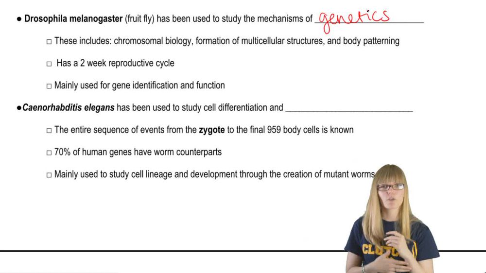 Top Main Model Organisms