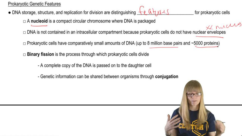 Prokaryotic Genetics
