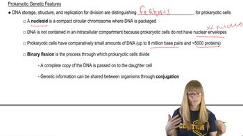 Prokaryotic Genetics