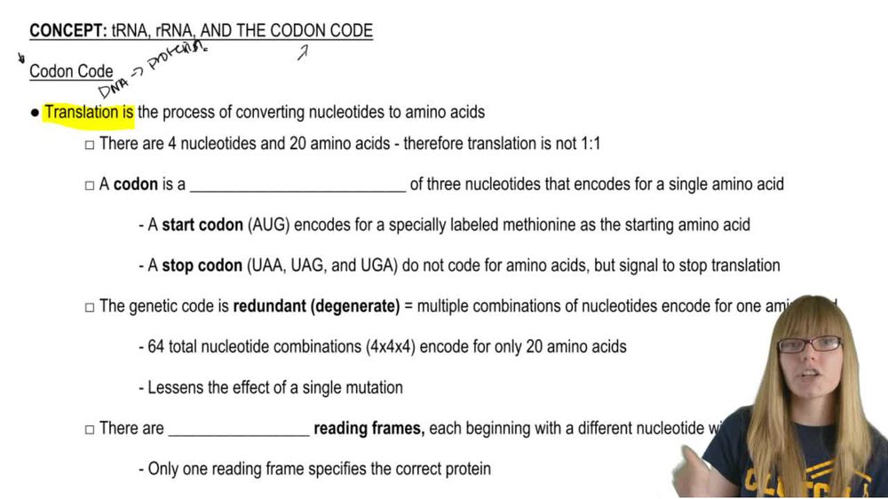 Codon Code