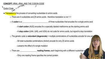 Codon Code