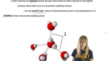 Water and Carbon