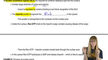 Nuclear Import
