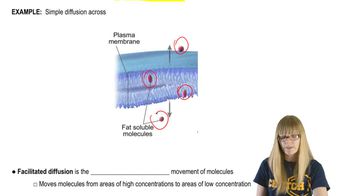Diffusion