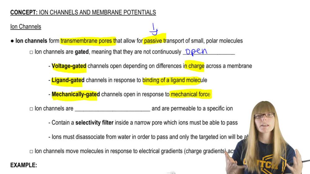 Ion Channels